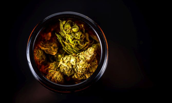 scanfully.com