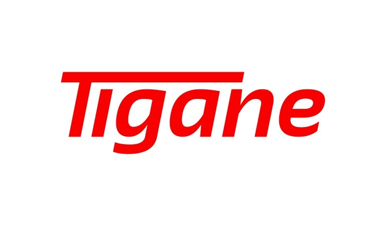 Available Business Name For Sale - Tigane
